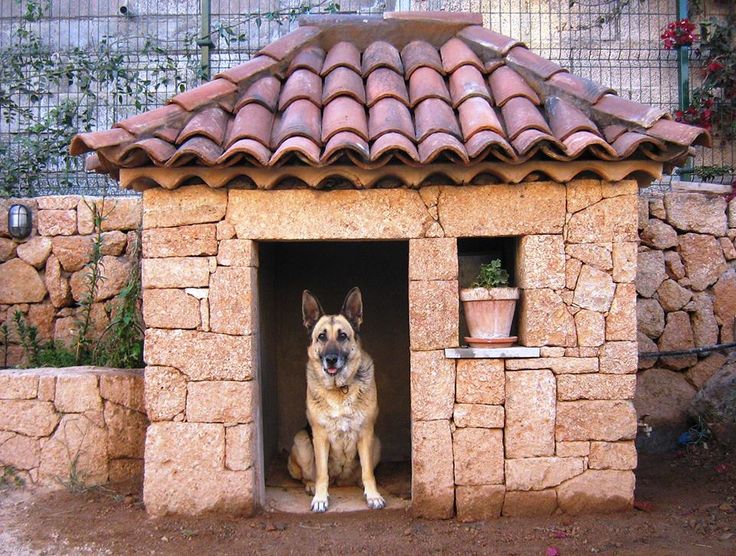 Домик для собаки – элемент дизайна придомовой территории